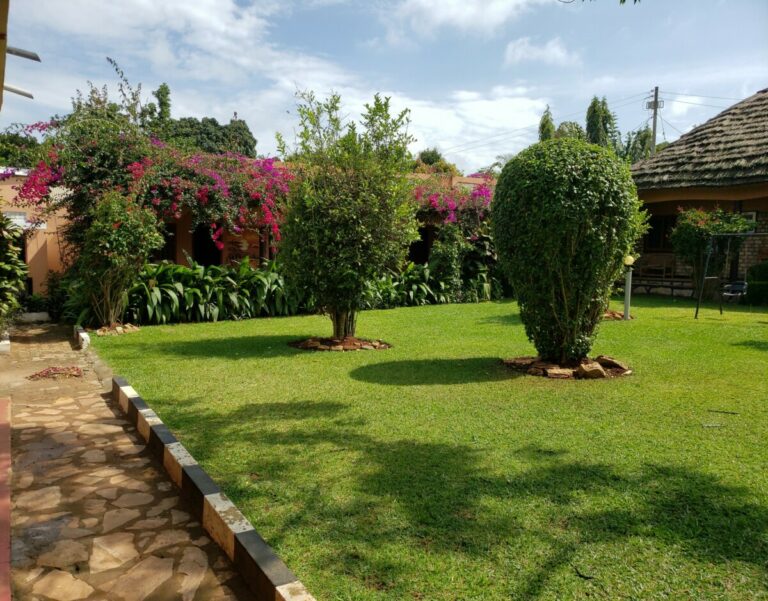 Garden Area